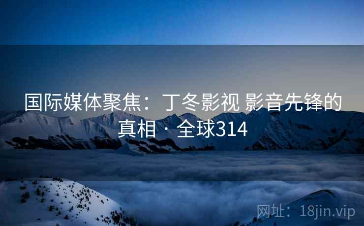 国际媒体聚焦：丁冬影视 影音先锋的真相 · 全球314