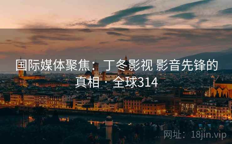 国际媒体聚焦：丁冬影视 影音先锋的真相 · 全球314
