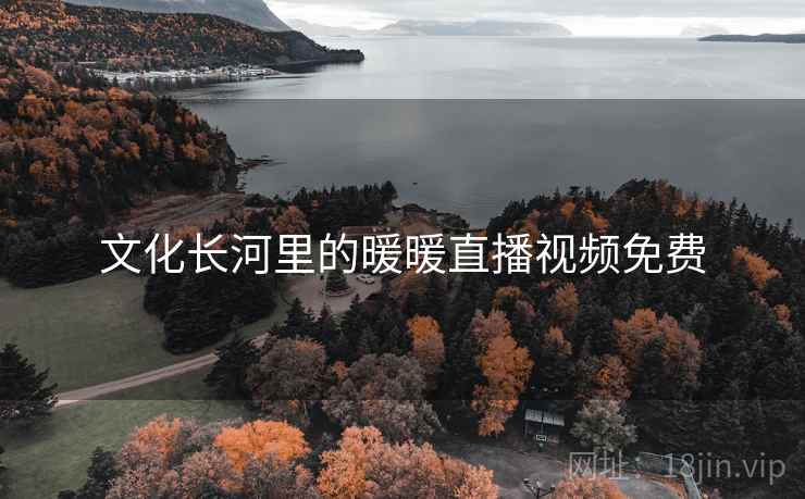 文化长河里的暖暖直播视频免费