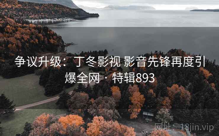 争议升级：丁冬影视 影音先锋再度引爆全网 · 特辑893