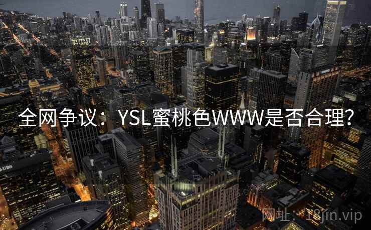 全网争议：YSL蜜桃色WWW是否合理？