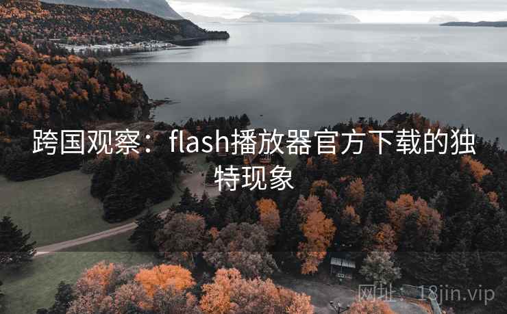 跨国观察：flash播放器官方下载的独特现象